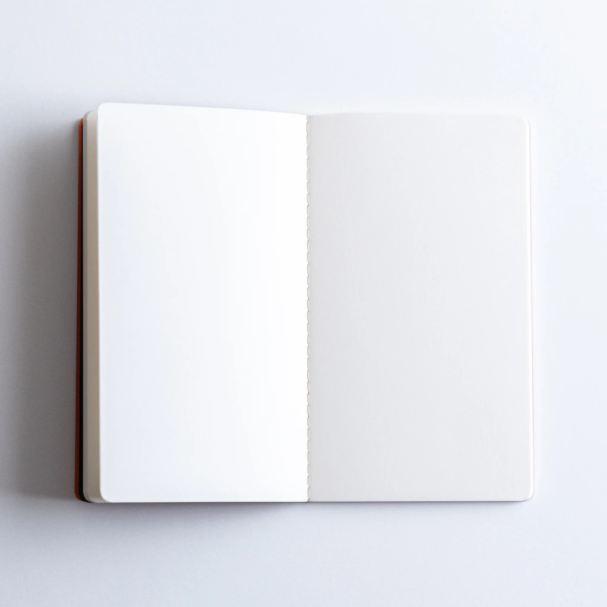 Interior pages of Dressco A6 notebook clearly showing distinct horizontal ledger-style ruling lines printed throughout