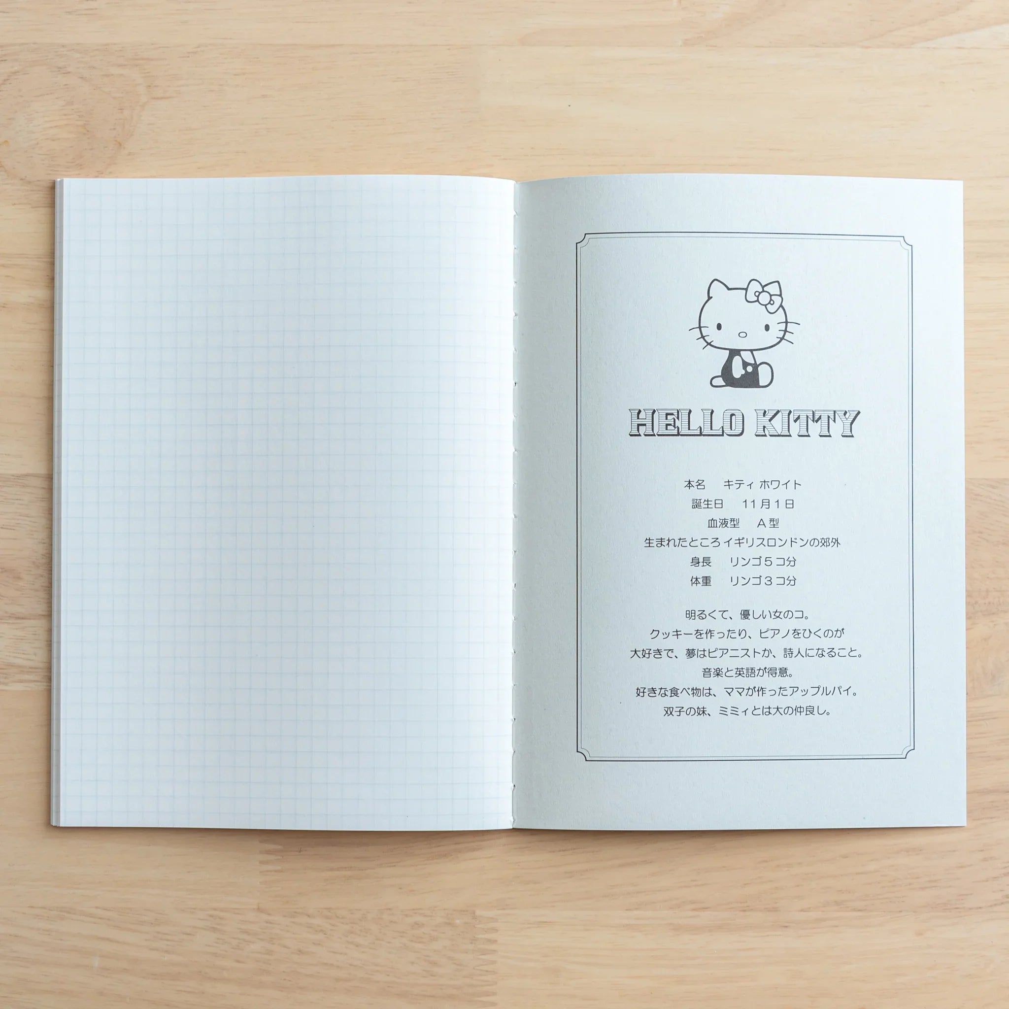 Hello Kitty Tsubame Foold Notebook in light blue featuring interior blue grid paper pages in folded position detail