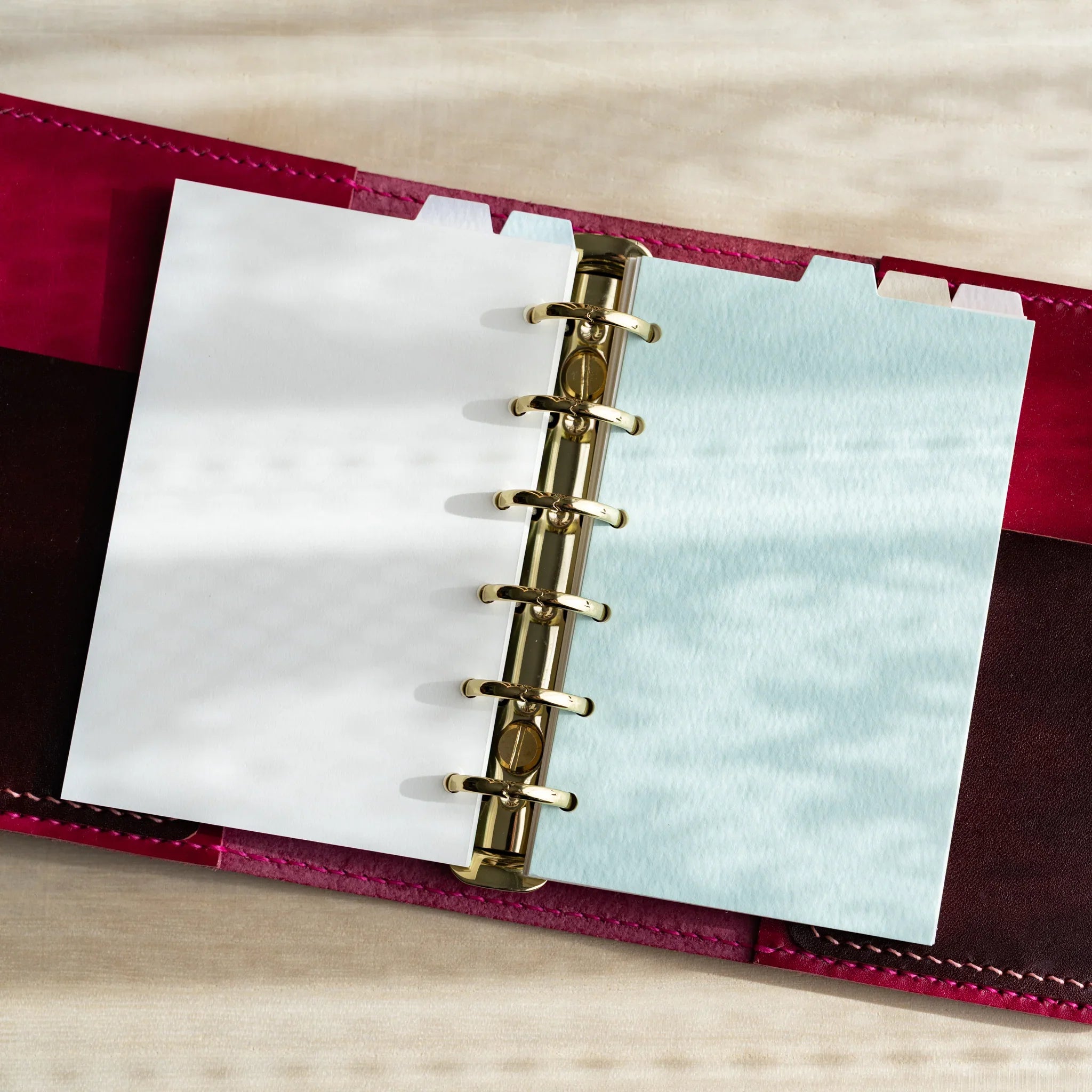 Dividers in mini six planner showing size relationship and features and features and features and features