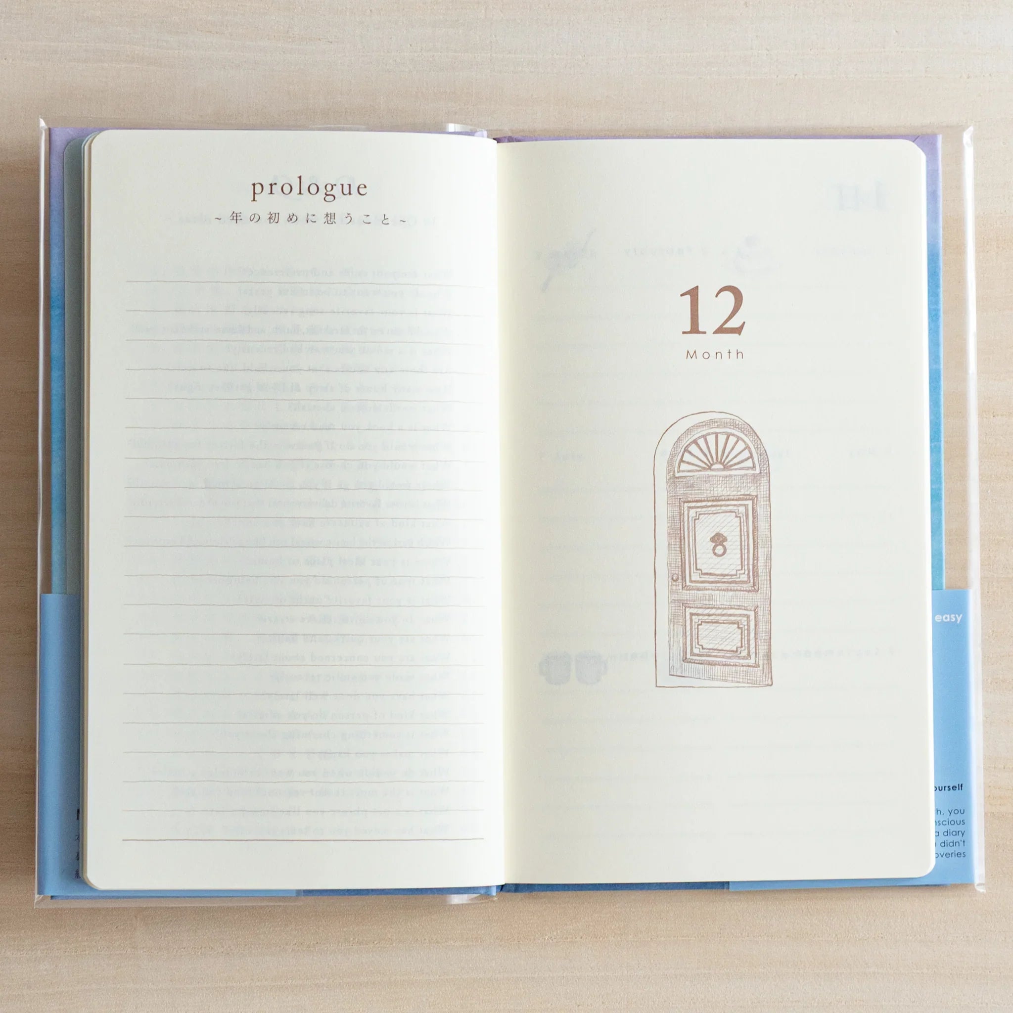 Cover detail with geometric gate pattern design in brown and light blue color tones throughout cover