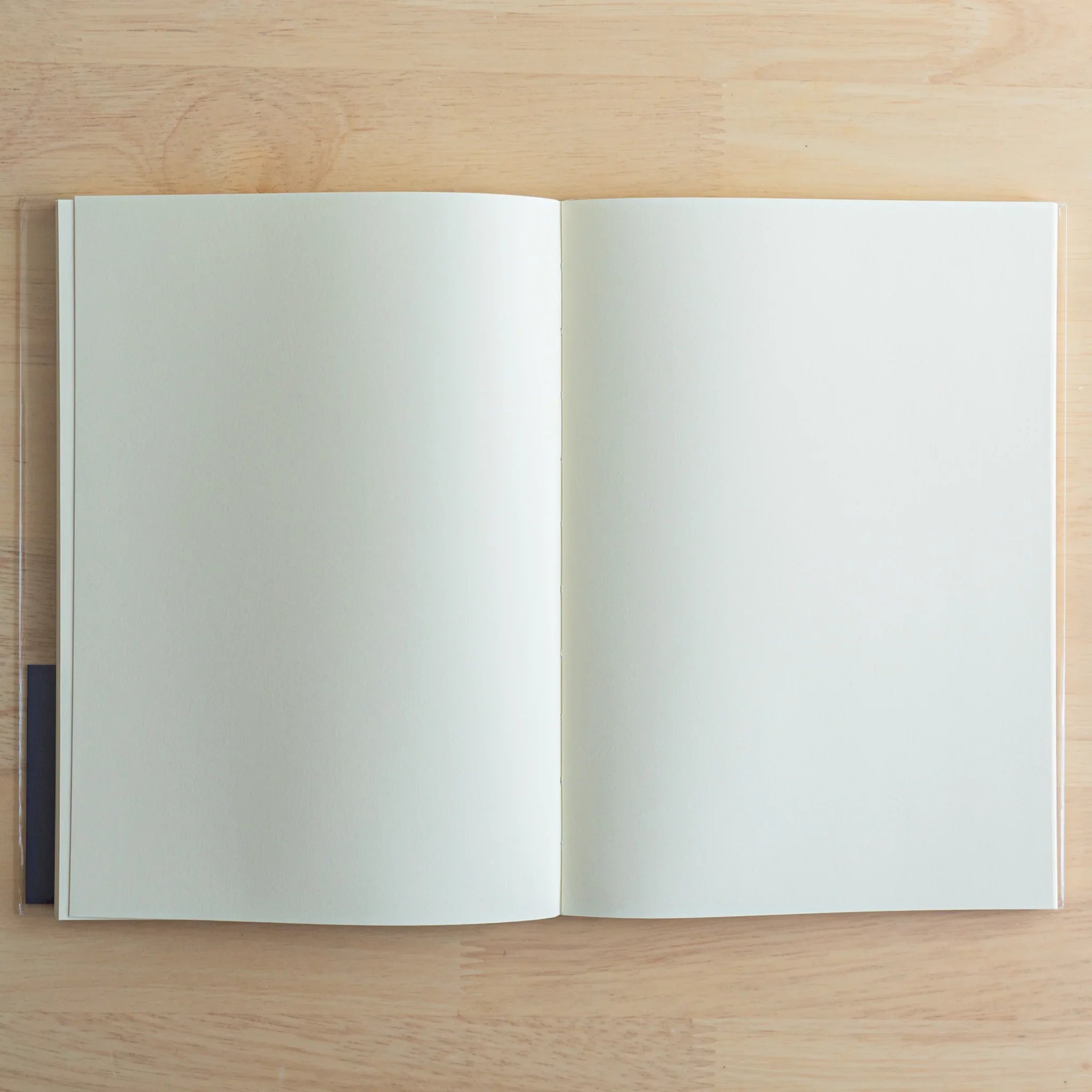 Apica Premium CD fountain pen notebook A5 soft cover cream with blue interior pages and light blue lined paper detail