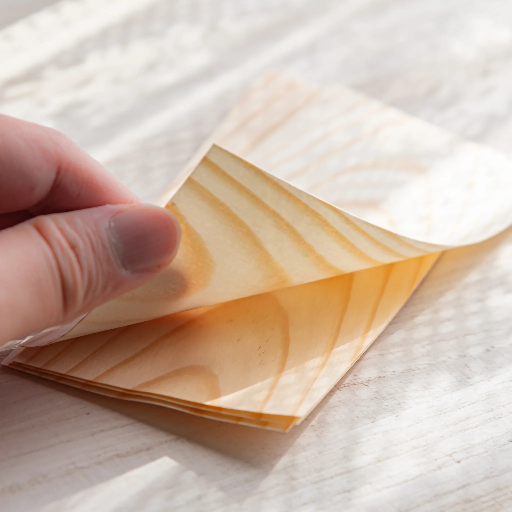 Close-up of Japanese thin wood message card sheet being lifted showing natural pine grain and material flexibility