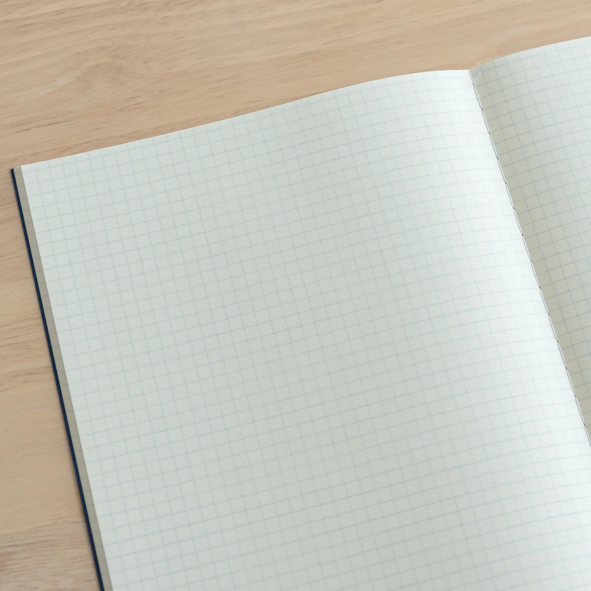 Tsubame Fools Cream Notebook flat lay showing embossed or foil-stamped branding on natural cream surface