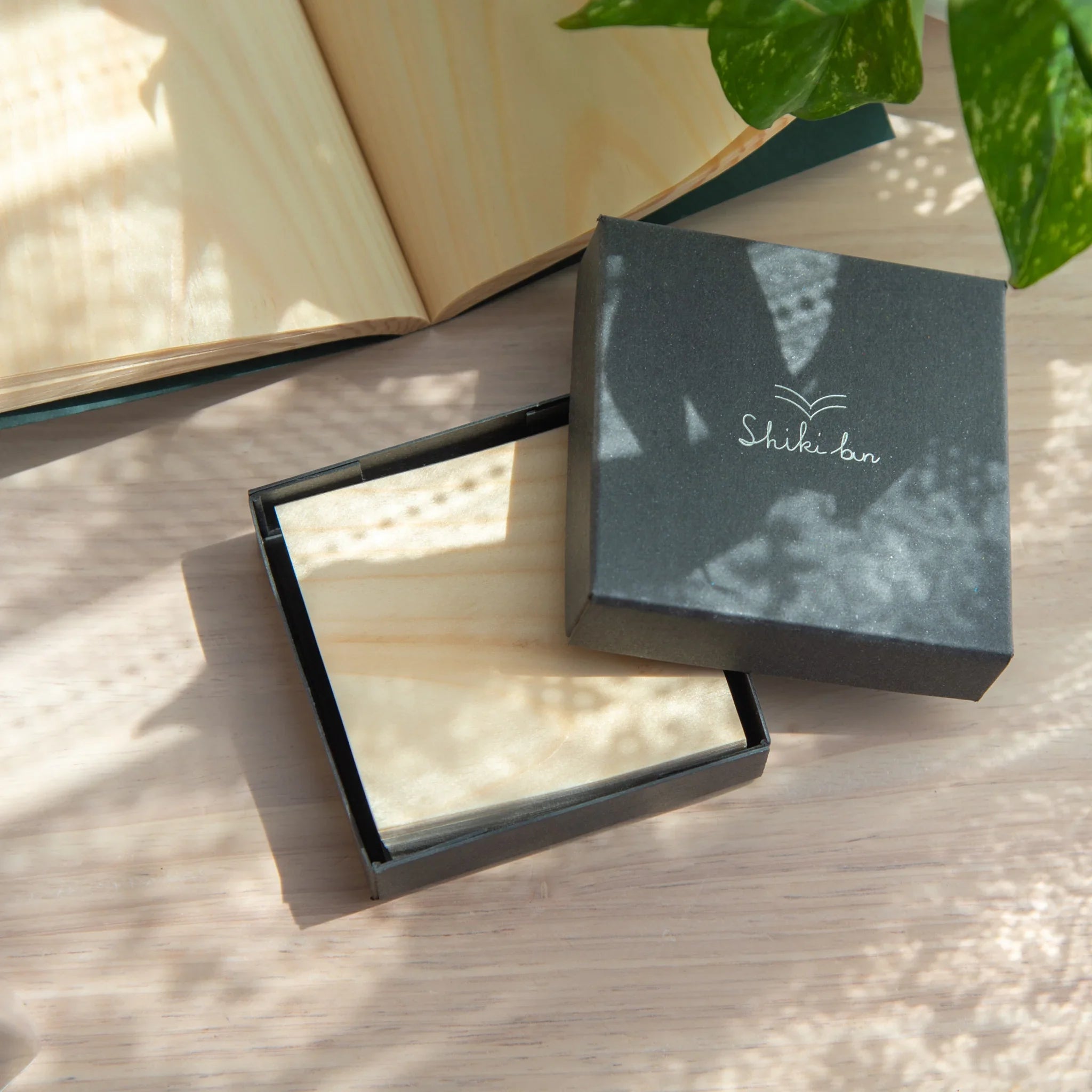 Japanese wooden sheet memo pad in open dark grey Shikibn box showing cream wood veneer sheets, with plant in background
