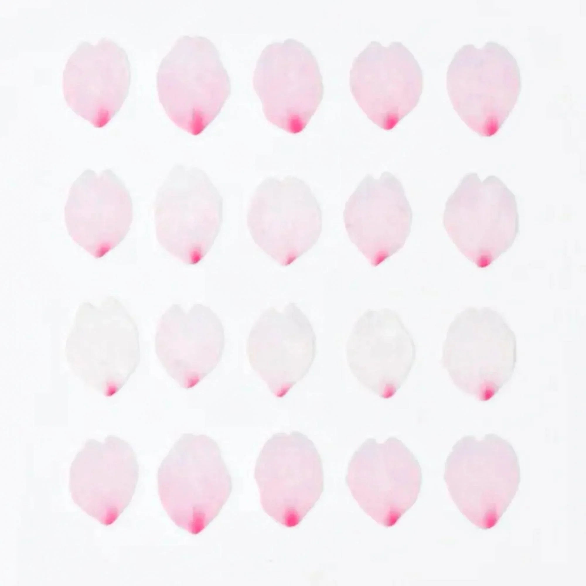 Sakura Petals Bande Japanese masking tape stickers flat overhead showing pre-cut adhesive sticker patterns