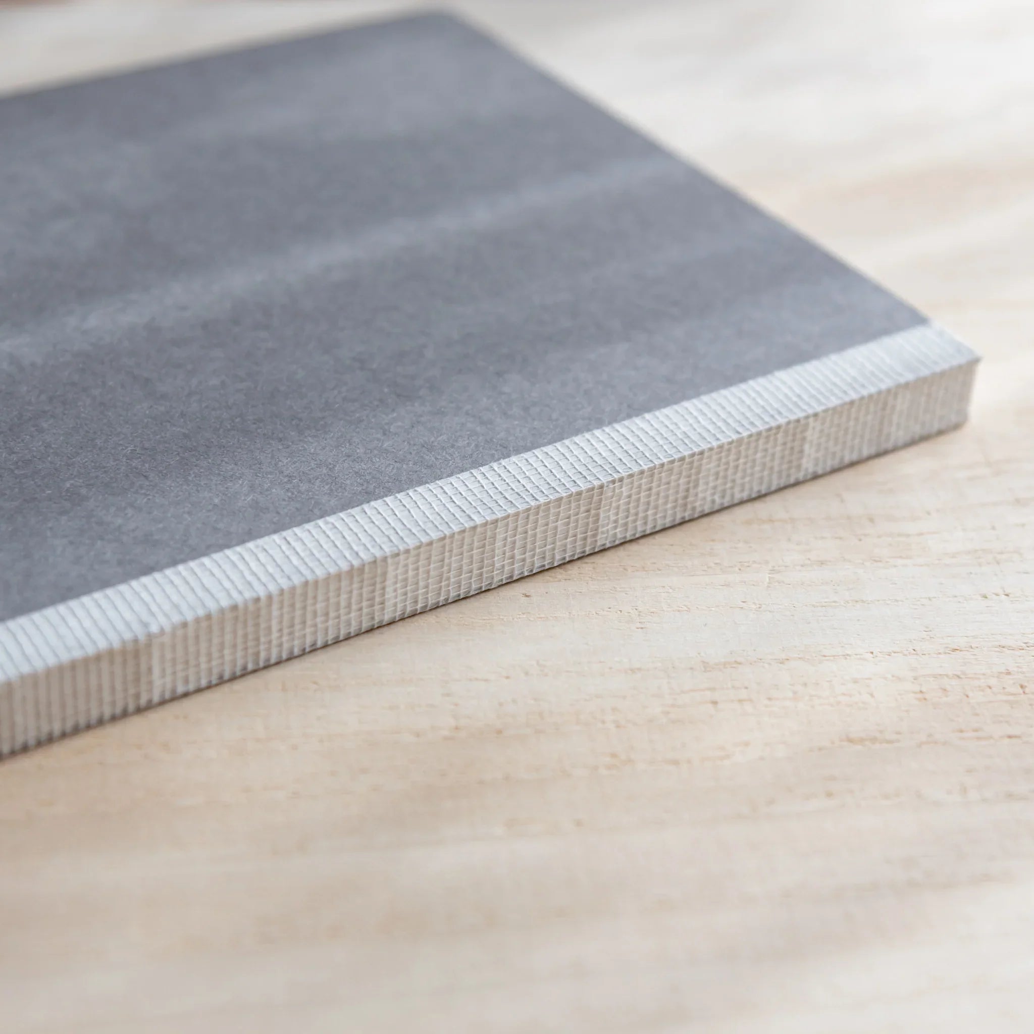 Detail shot of CANOPUS notebook cover showing texture and logo placement showing product quality and design details