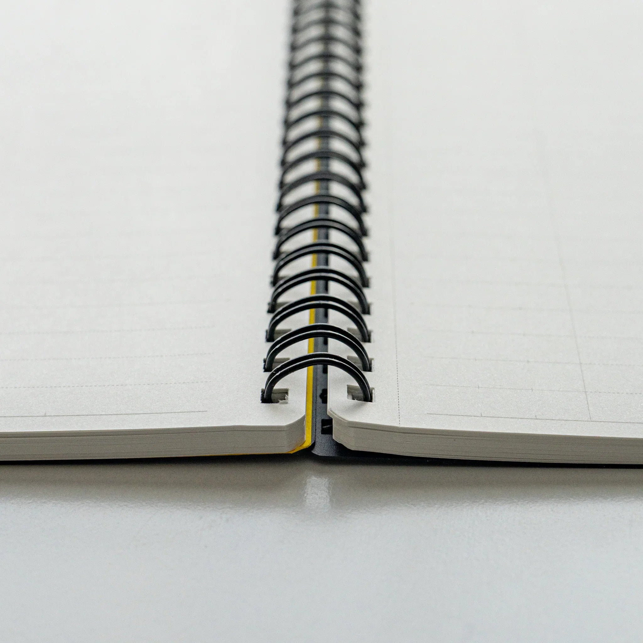Maruman Mnemosyne notebook, spread showing 8mm line layout on pages, Mnemosyne Japanese notepad with detachable sheets and
