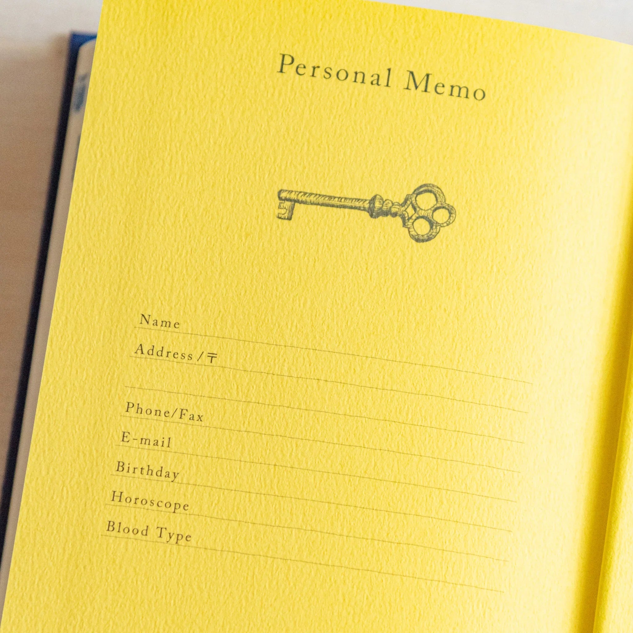 Midori 10-year journal, page corner detail showing paper quality and binding, Japanese stationery product with quality design