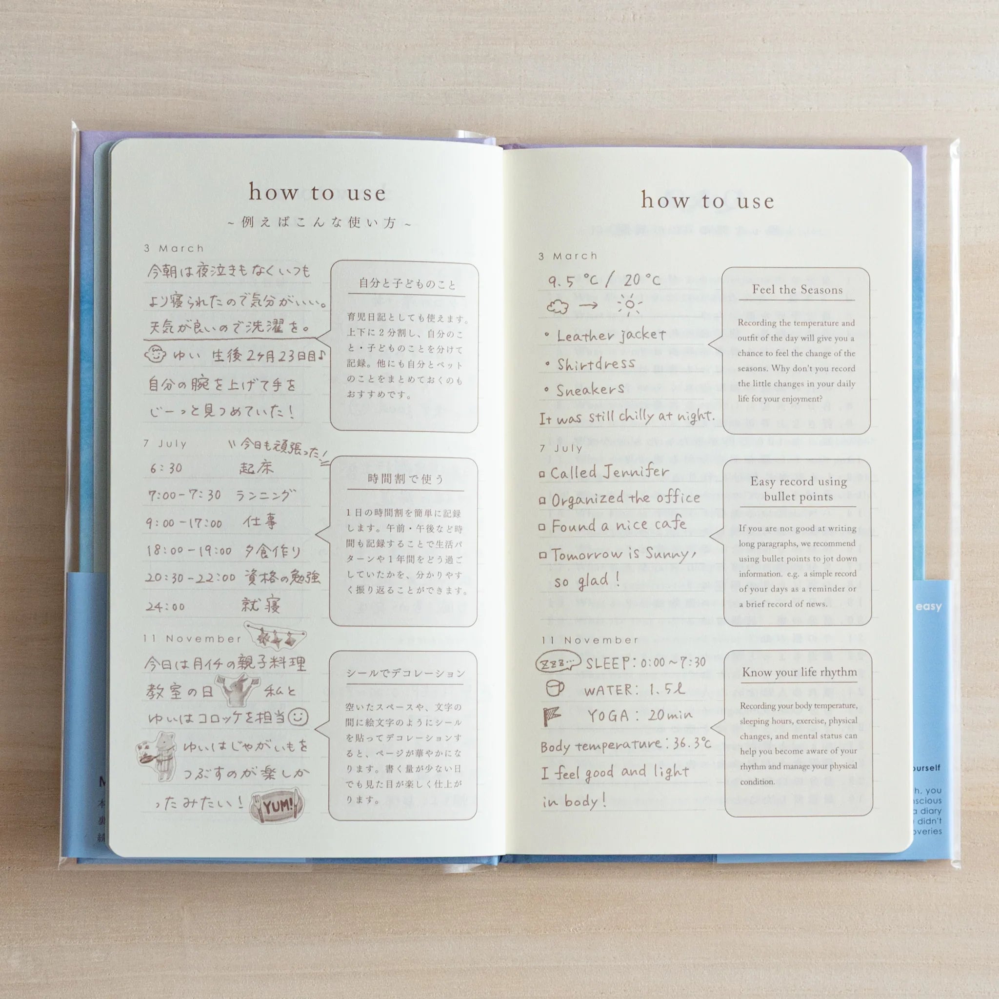 Midori notebook, open spread showing interior pages, binding system and Japanese paper quality materials