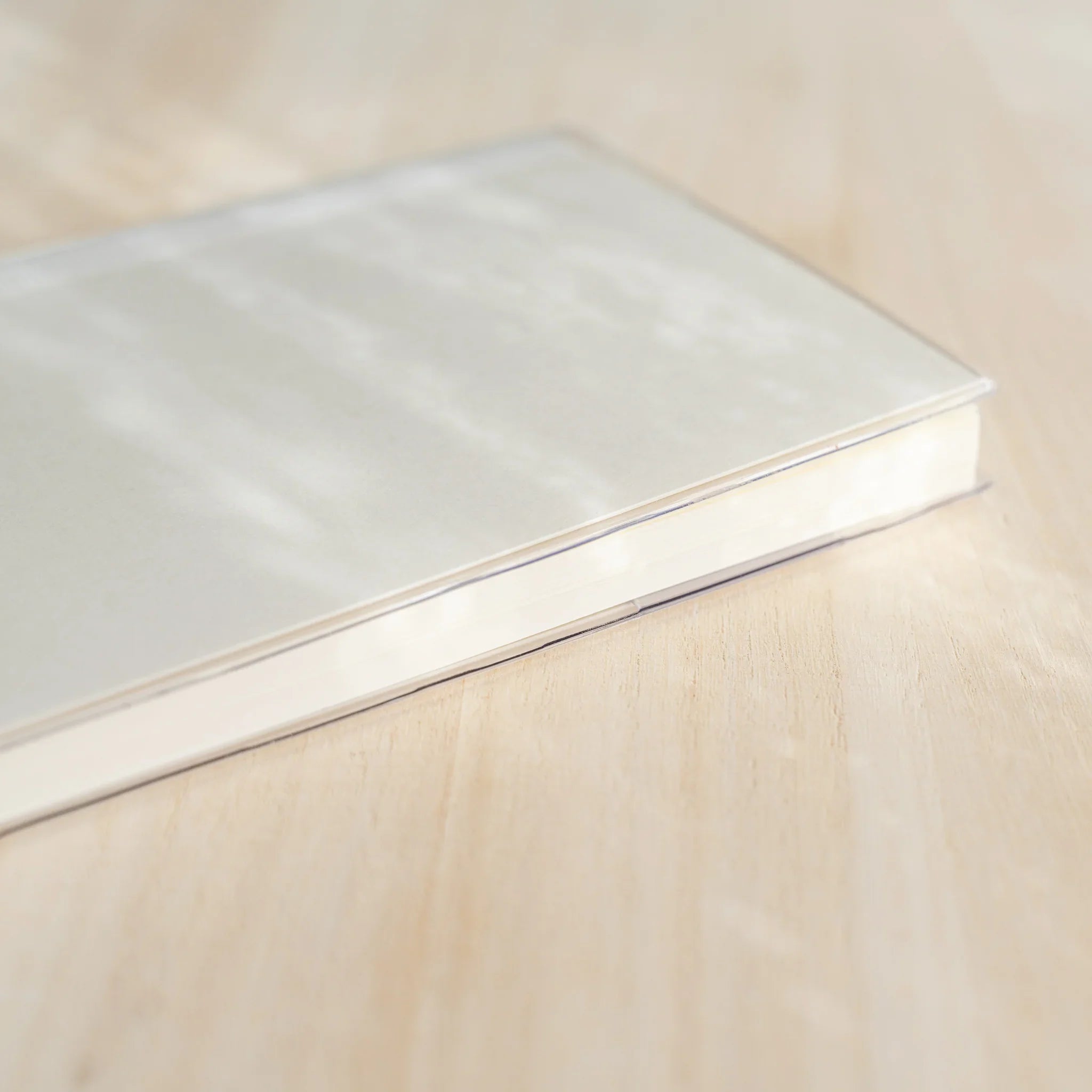 Angled side view of Midori MD Notebook inside clear PVC cover showing PVC rim, white cover edge, and ivory page stack