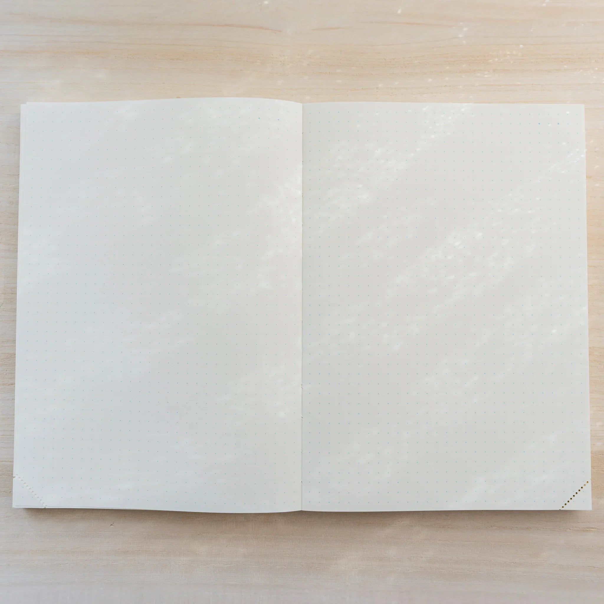 Midori MD Notebook Journal open flat to a cream dot grid two-page spread with exposed thread stitching at the spine