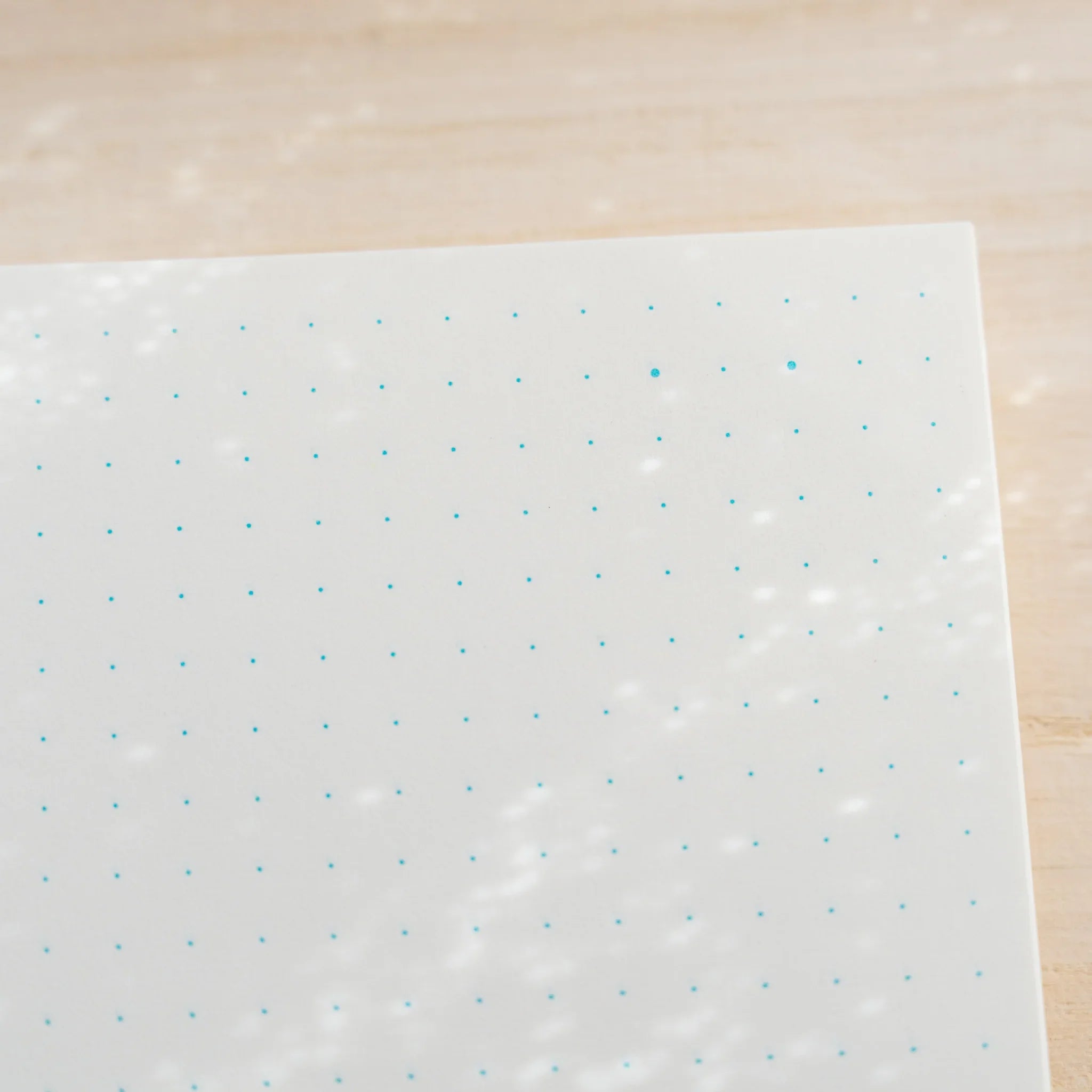 Macro of Midori MD Notebook Journal cream page showing the pale blue dot grid with two enlarged date-guide dots