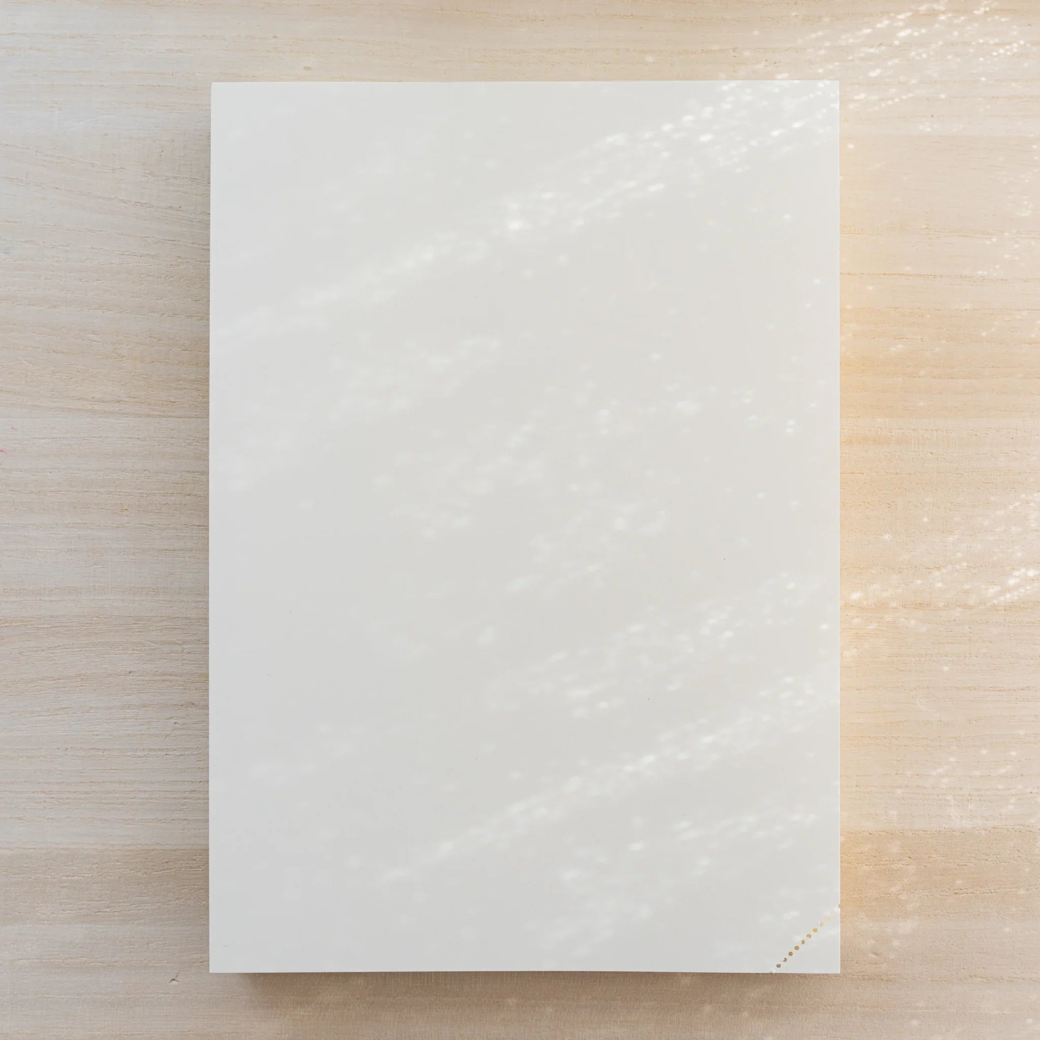 Midori MD Notebook plain blank cream cover with small gold dots at lower corner, on light wood