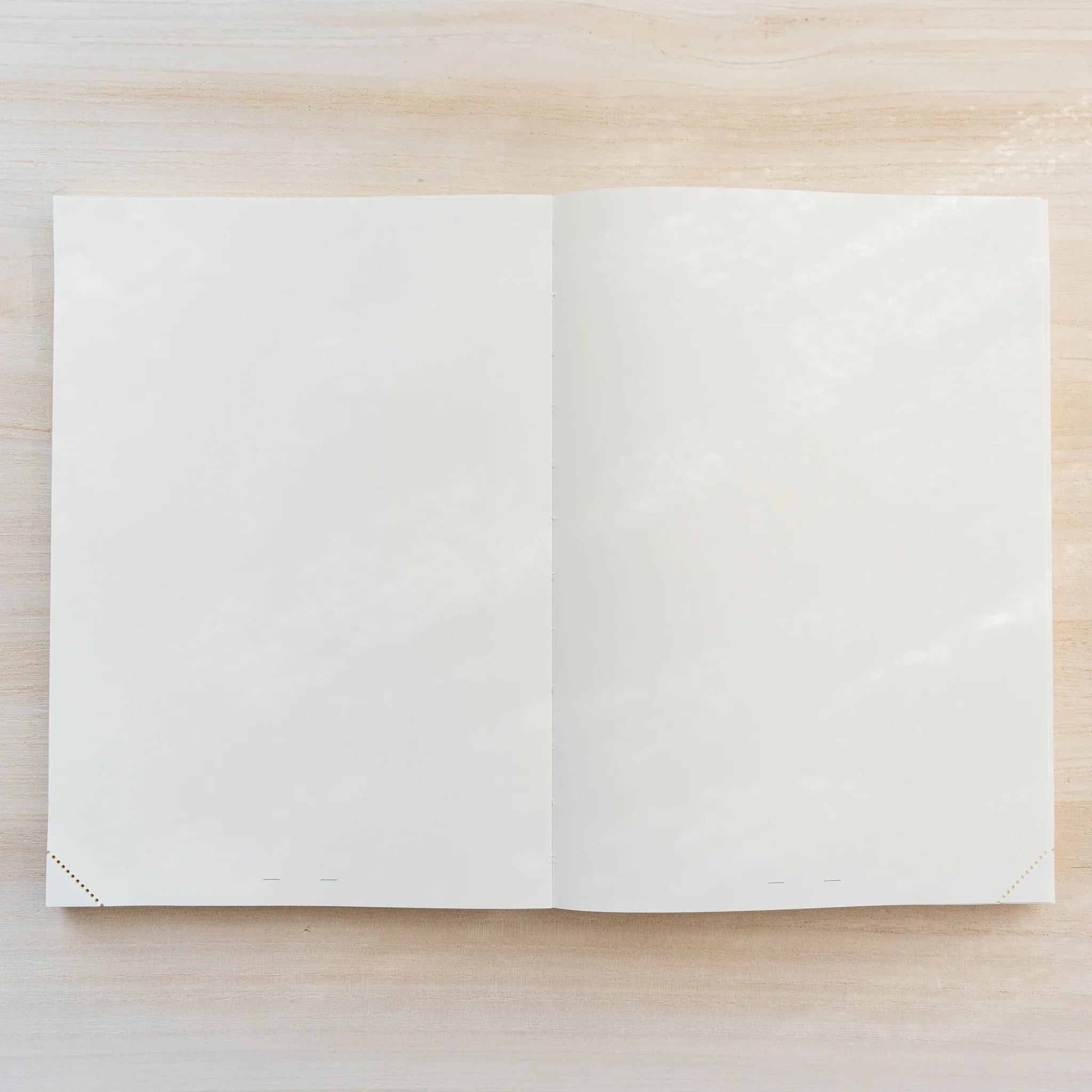 Midori MD Notebook open flat to blank cream two-page spread with exposed thread stitching at the center spine