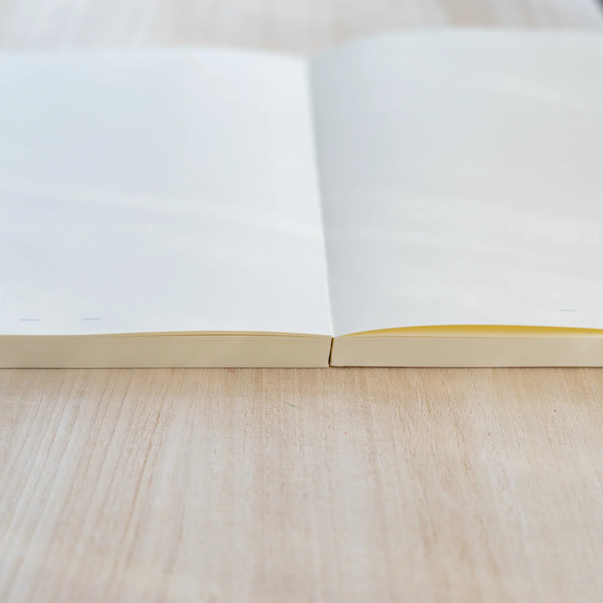 Low-angle view of Midori MD Notebook lying open and flat on wood, showing cream page-block edges